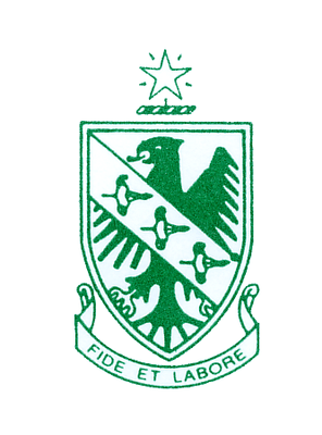 SMK St. John logo